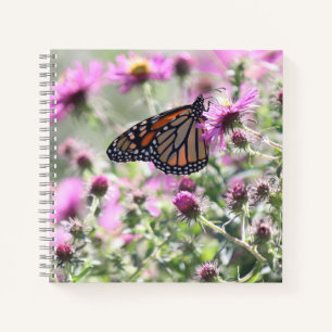 Carnet Fleurs de prés papillons et violets