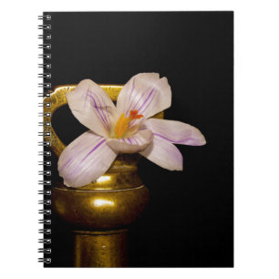Carnet Fleurs de printemps