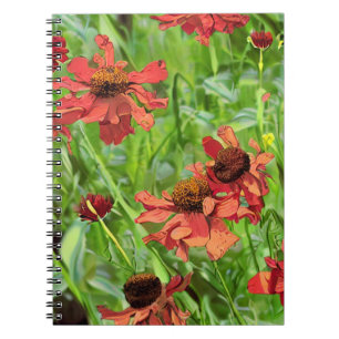 CARNET FLEURS DE RUDBECKIA ROUGES