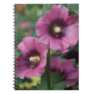 Carnet Fleurs d'hibiscus pourpres