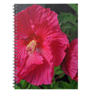 Carnet Fleurs d'hibiscus roses