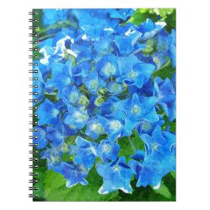 Carnet Fleurs d'hortensia bleues. Photographie florale.