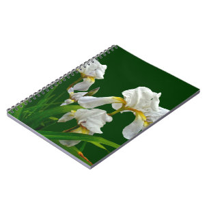 Carnet Fleurs d'Iris à poils blancs