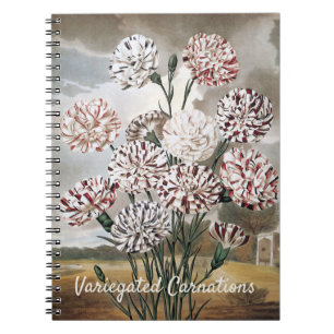 Carnet Fleurs d'œillet panachées vintage avec ciel gris