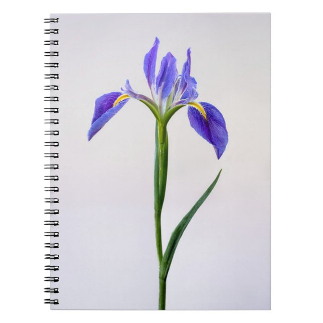 Carnet Fleurs | Fleur Iris Violet (Devant)