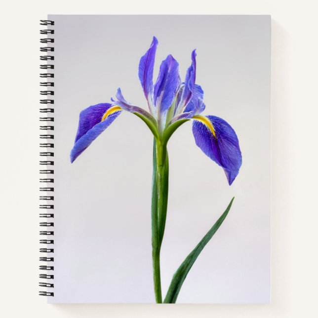Carnet Fleurs | Fleur Iris Violet (Devant)