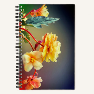 Carnet Fleurs, Fleurs Jaunes, Pétales-63158