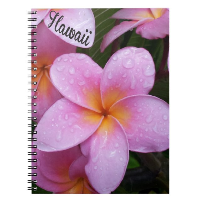Carnet Fleurs Hawaii Plumeria Rose (Devant)