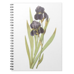 Carnet Fleurs Iris Violettes