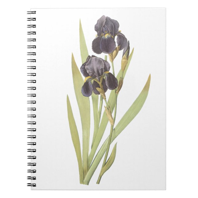 Carnet Fleurs Iris Violettes (Devant)