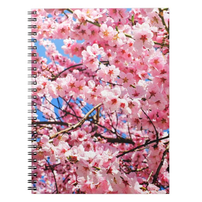 Carnet Fleurs japonaises de cerises (Devant)