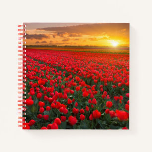 Carnet Fleurs Jardin botanique Hollande