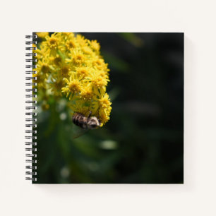 Carnet Fleurs Jaunes Bee Bumblebee Nature Photographie