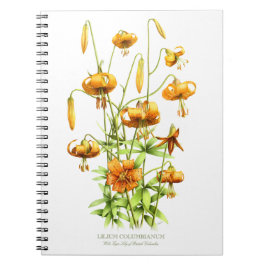 Carnet Fleurs Lily de tigre orange sauvage Design botaniq