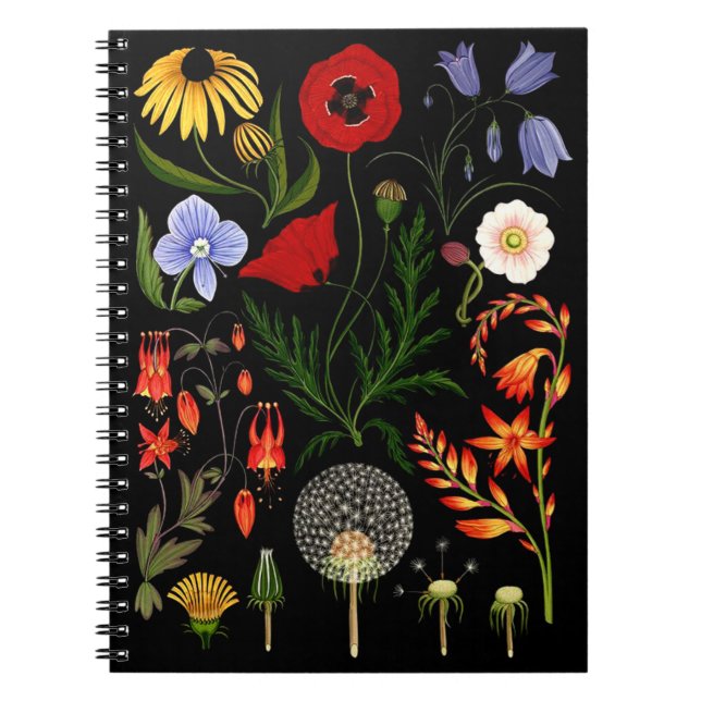 Carnet Fleurs Pressées, Fleurs sauvages Boho, Botanica Vi (Devant)