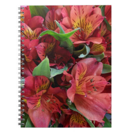 Carnet Fleurs rouges