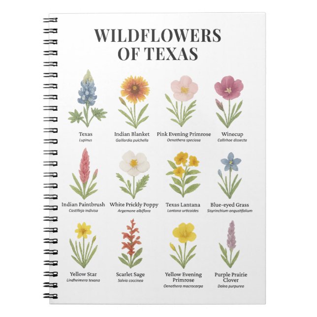 Carnet Fleurs sauvages du Texas dans le style aquarelle (Devant)