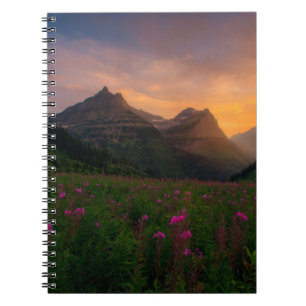 Carnet Fleurs sauvages glaciers