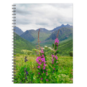 Carnet Fleurs sauvages Vallée d'Alaska