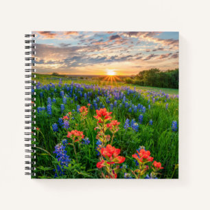 Carnet Fleurs   Texas Bluebonnets & Indian Paintbrush