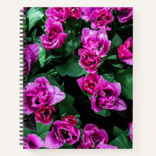 Carnet Fleurs tulipes roses