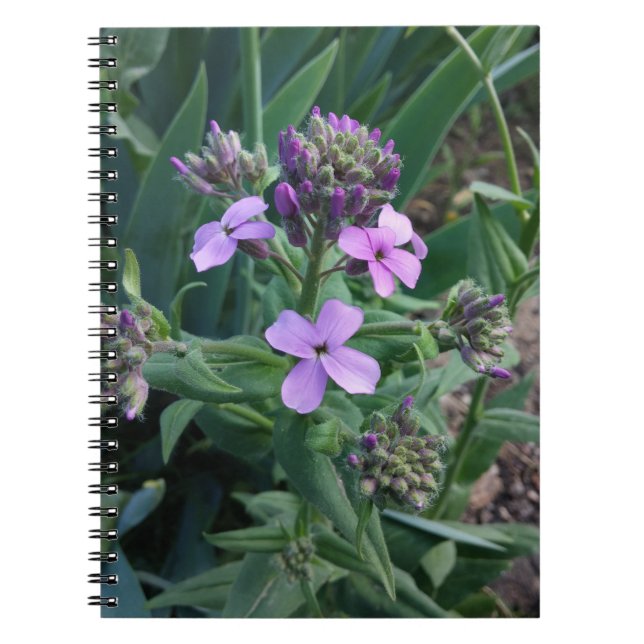 Carnet Fleurs violettes (Devant)