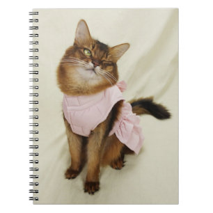 Carnet Flirty Somali Cat Winking Cat