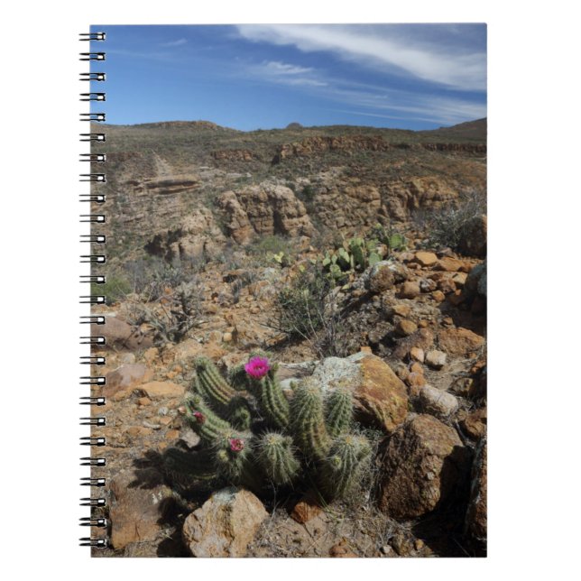 Carnet Floraison de cactus (Devant)
