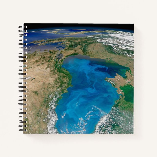 Carnet Floraison De Phytoplancton Bleu En Mer Noire (Devant)