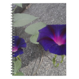 Carnet floral