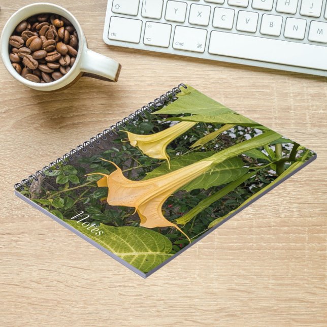 Carnet Floral Brugmansia jaune (In Situ)