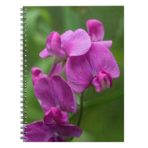 Carnet floral de fleurs sauvages de rose de pois