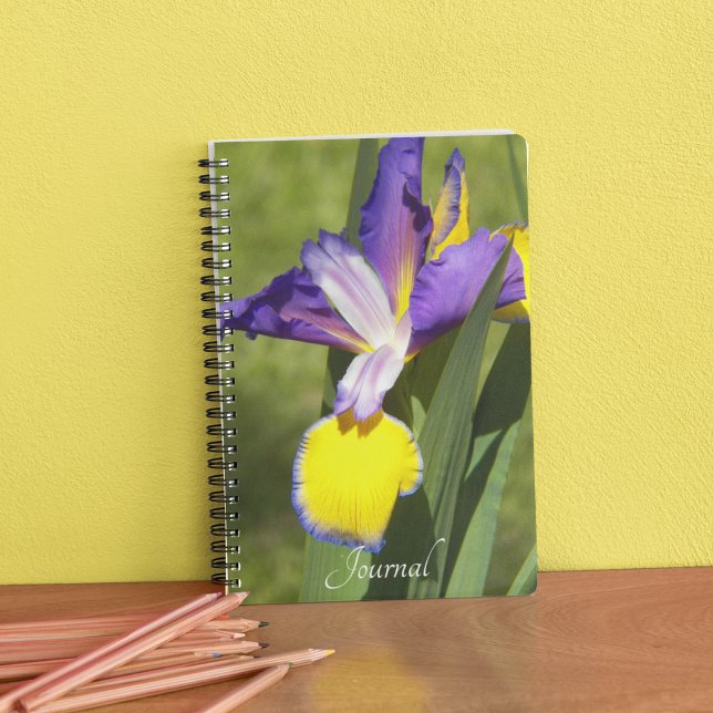 Carnet Floral d'Iris de Sibérie pourpre et jaune (In Situ)