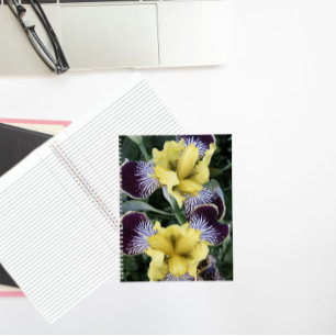 Carnet Floral d'Irises pourpre et jaune sans fil