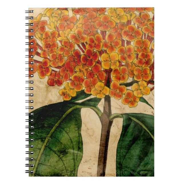 Carnet Floral I (Devant)