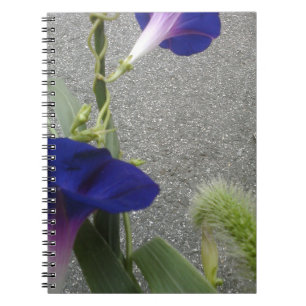 Carnet Floral pourpre