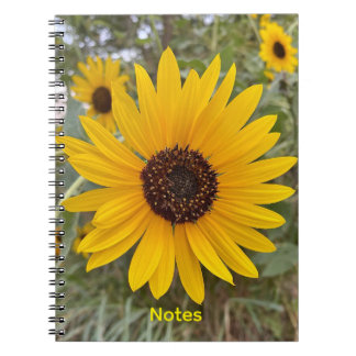Carnet floral Tournesol Doré