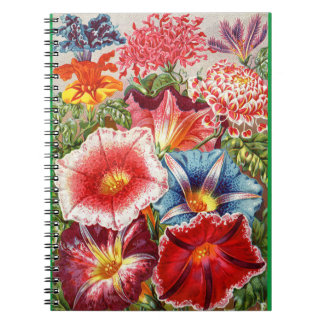 Carnet floral victorien de la spirale du matin glo