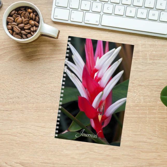 Carnet Flore de Heliconia rouge et blanche (In Situ)