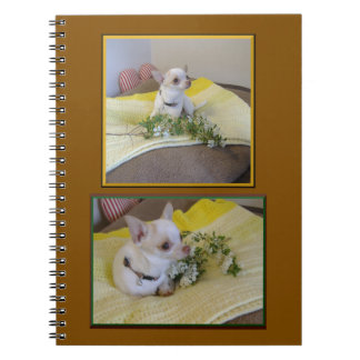 Carnet Flower Chihuahua Spiral  Notebook
