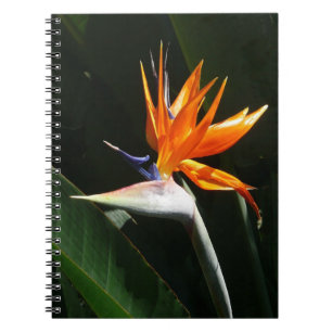Carnet Flower tropical orange paradise