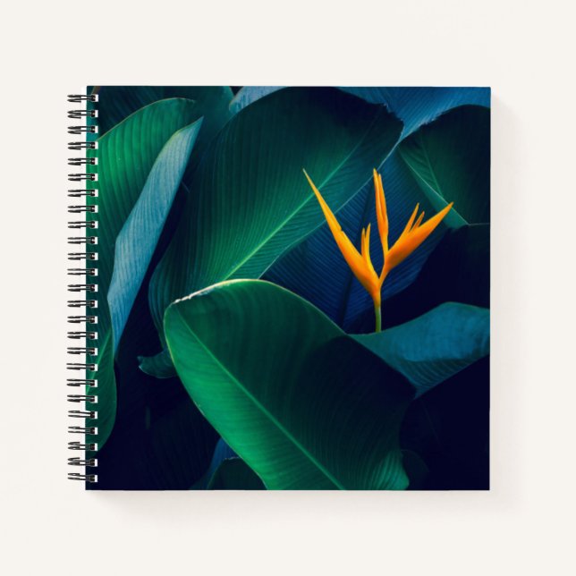 Carnet Flowers | Bird of Paradise (Devant)