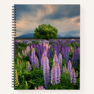 Carnet Flowers (homonymie) Lupine Field à New Zealand