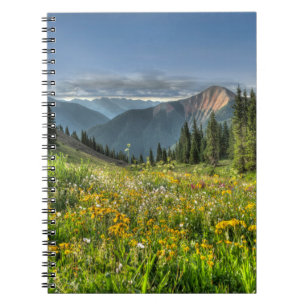 Carnet Flowers (homonymie) Wildflowers Silverton Colora
