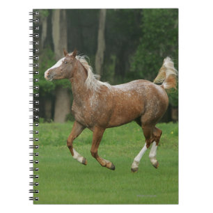 Carnet Fonctionnement de cheval d'Appaloosa