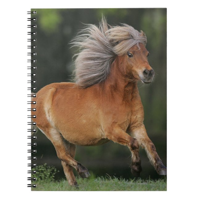 Carnet Fonctionnement miniature de cheval (Devant)