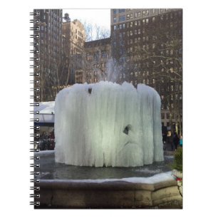 Carnet Fontaine de glace gelée Bryant Park New York City
