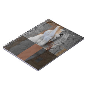 Carnet Fontaine Dragon