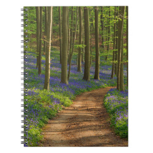 Carnet Forest Bluebell Forest en Belgique