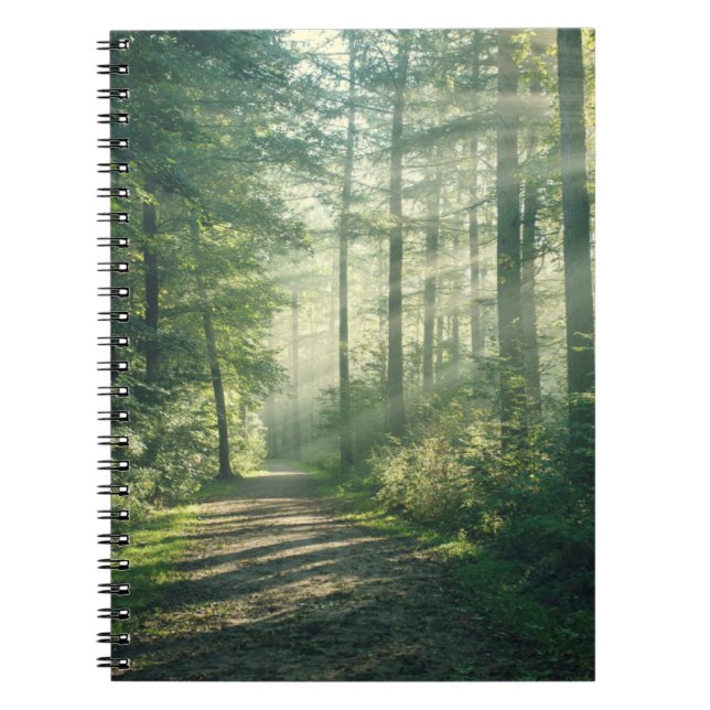 Carnet Forêt | Chemin forestier Hambourg Allemagne (Devant)